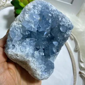 1 KG XL Celestite Sweet Blue Natural Druzy Display Geode From Madagascar