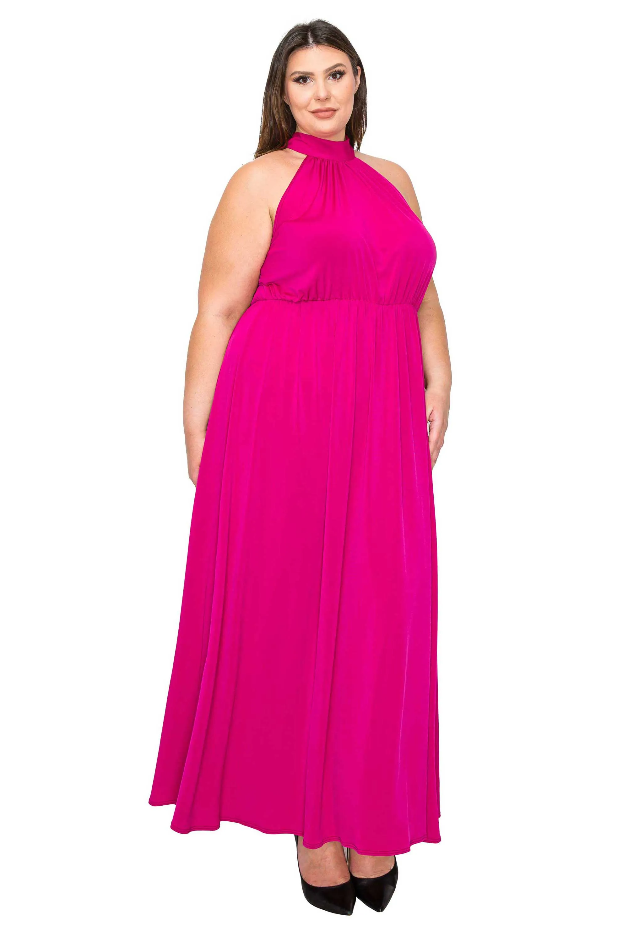 Alexis Halter Neck Maxi Dress