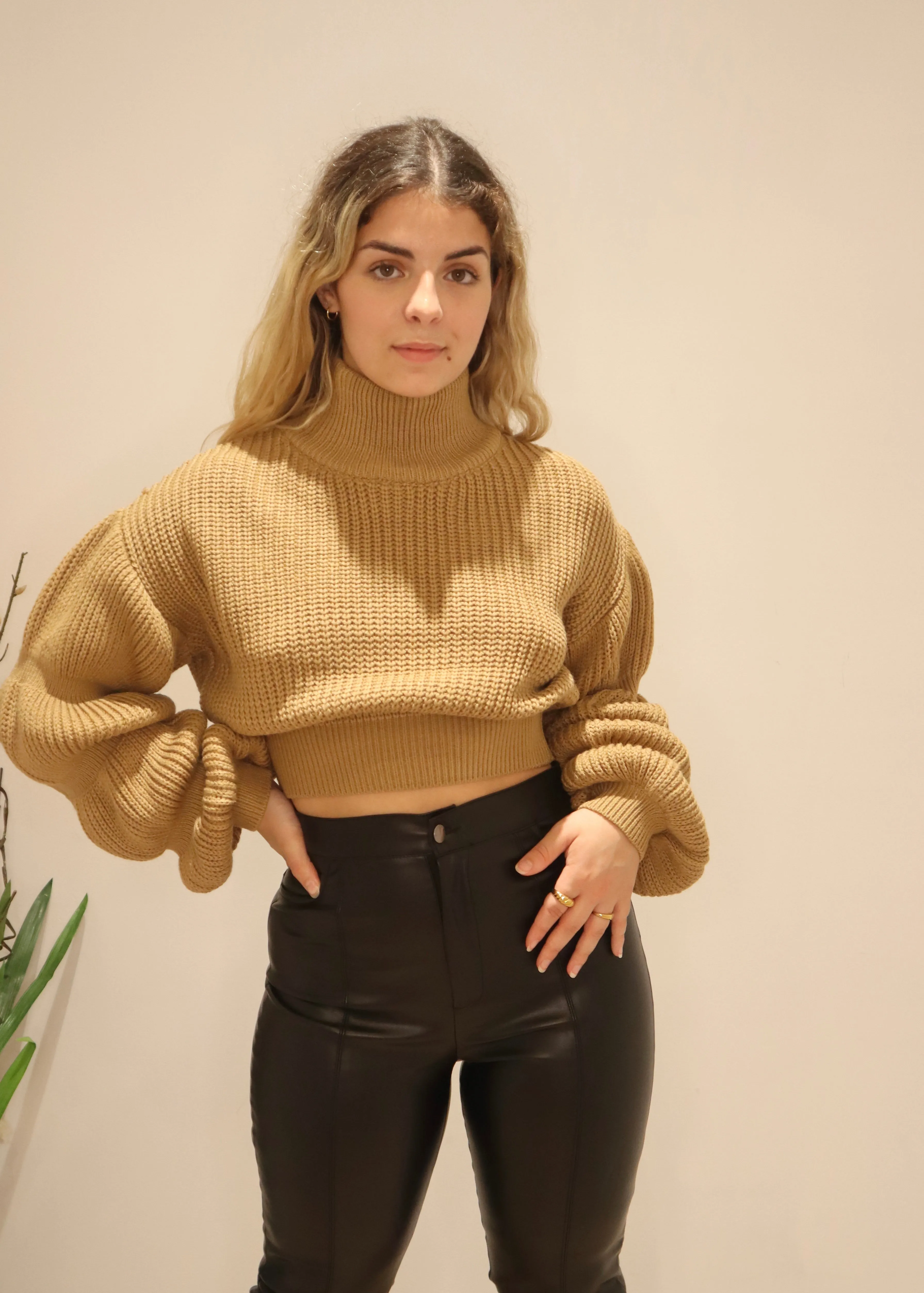 Angela's crop sweater, Mocha