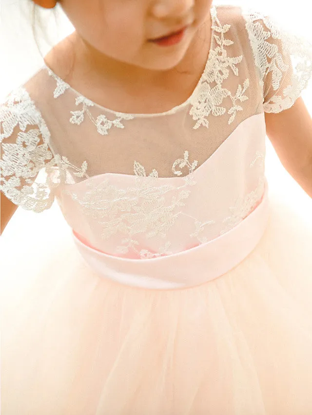 Ball Gown Lace Tulle Wedding Birthday Pageant Flower Girl Dresses