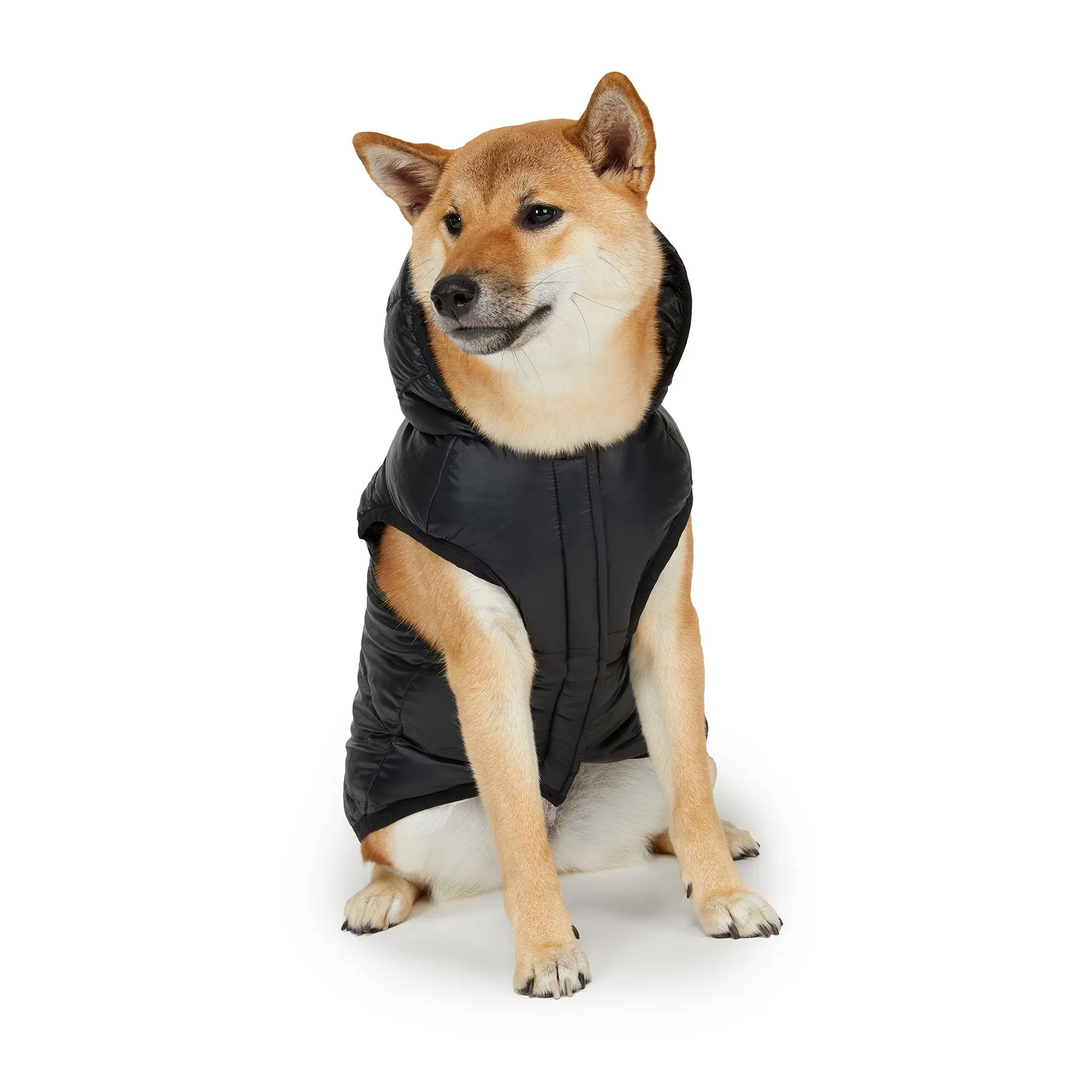 Duff Reversible Jacket for Dogs