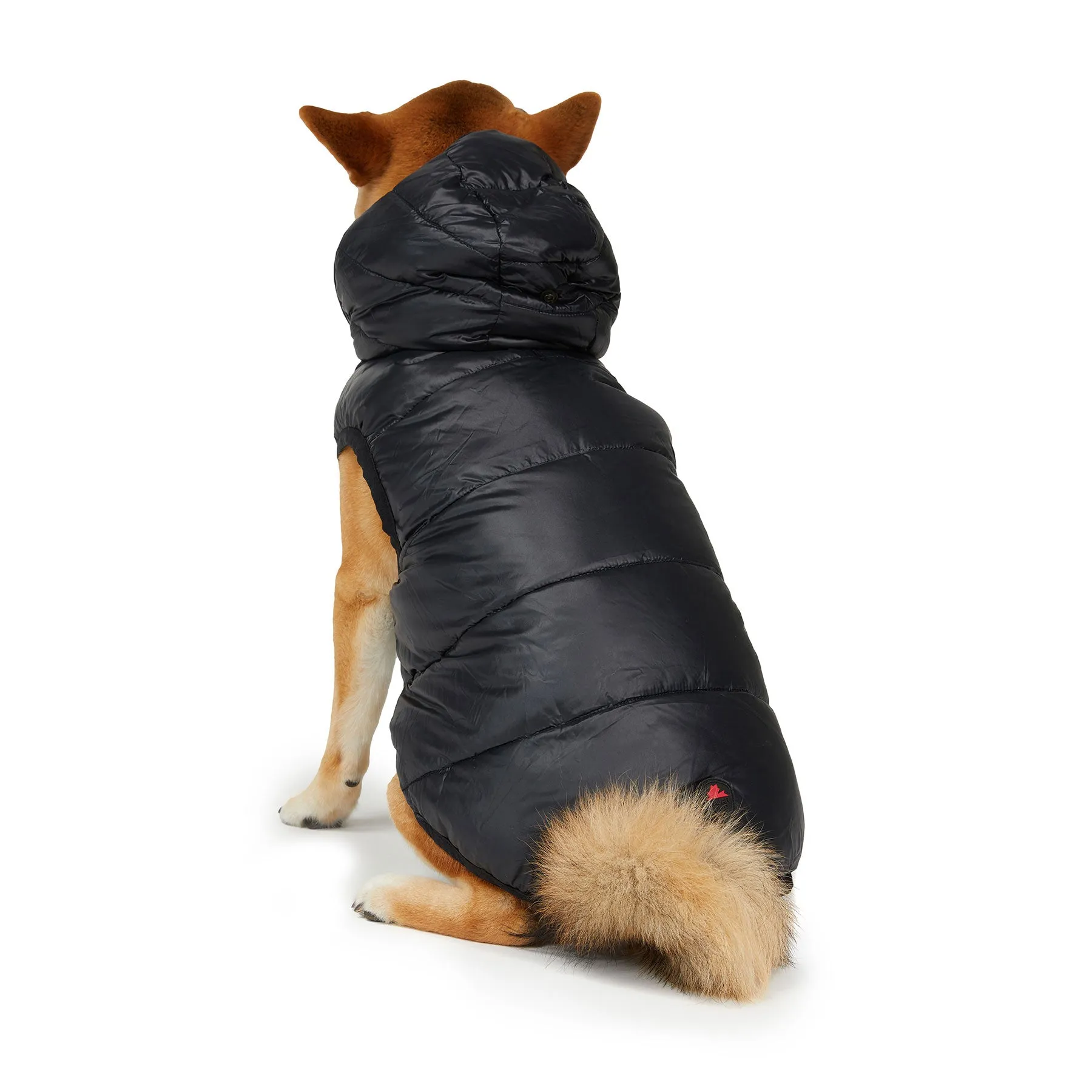 Duff Reversible Jacket for Dogs