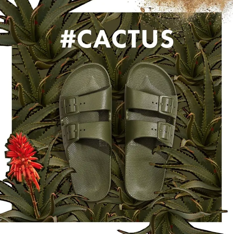 Freedom Moses Slides - Cactus