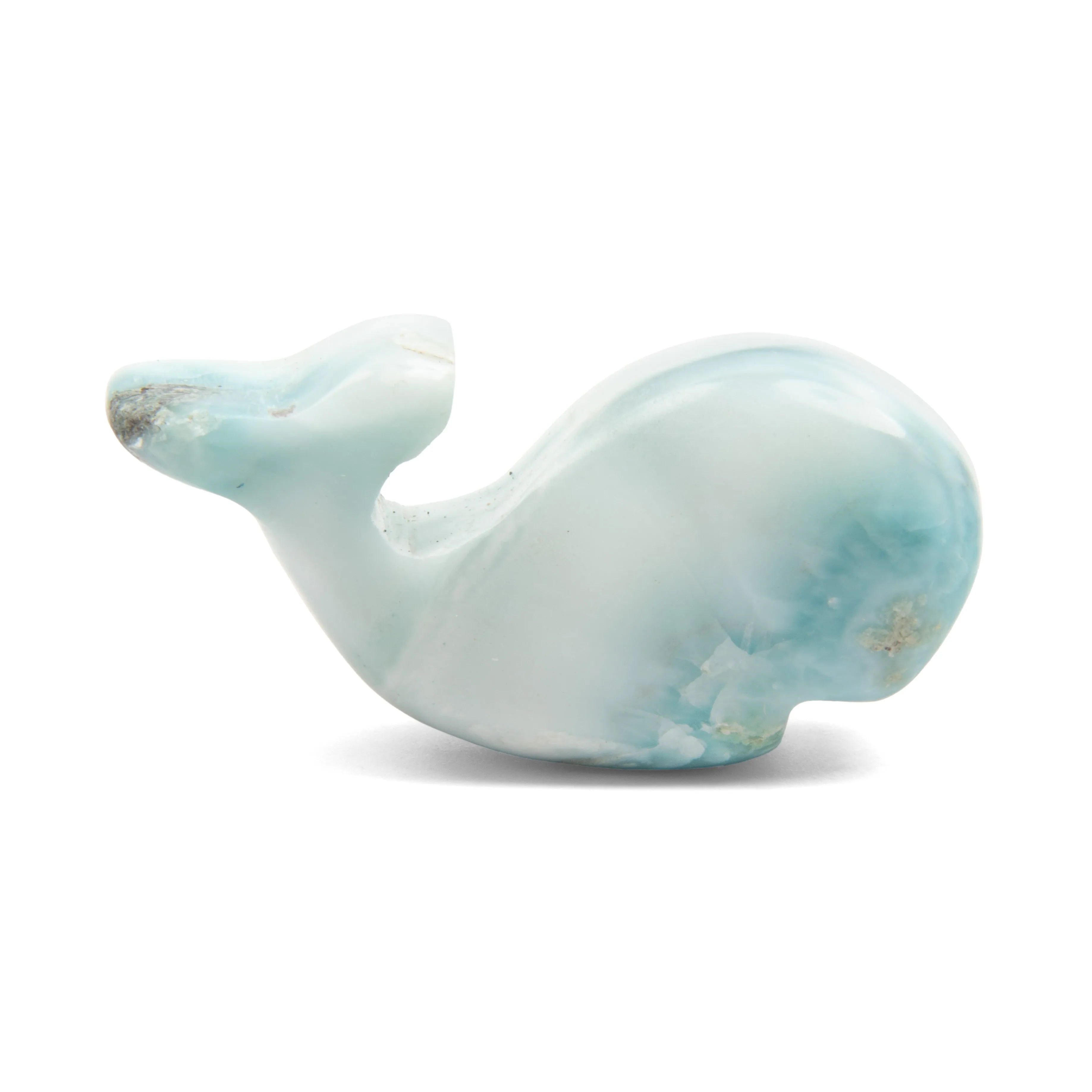 Larimar Whale