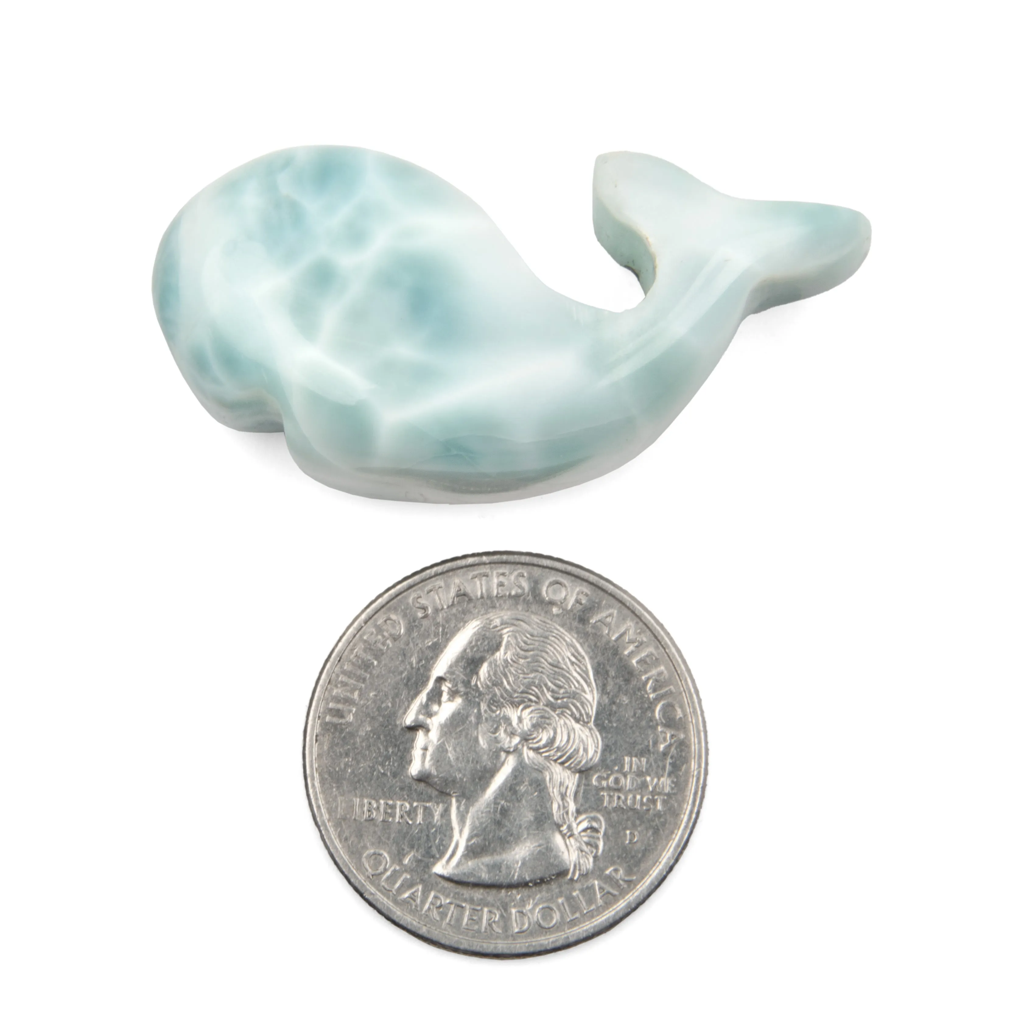 Larimar Whale