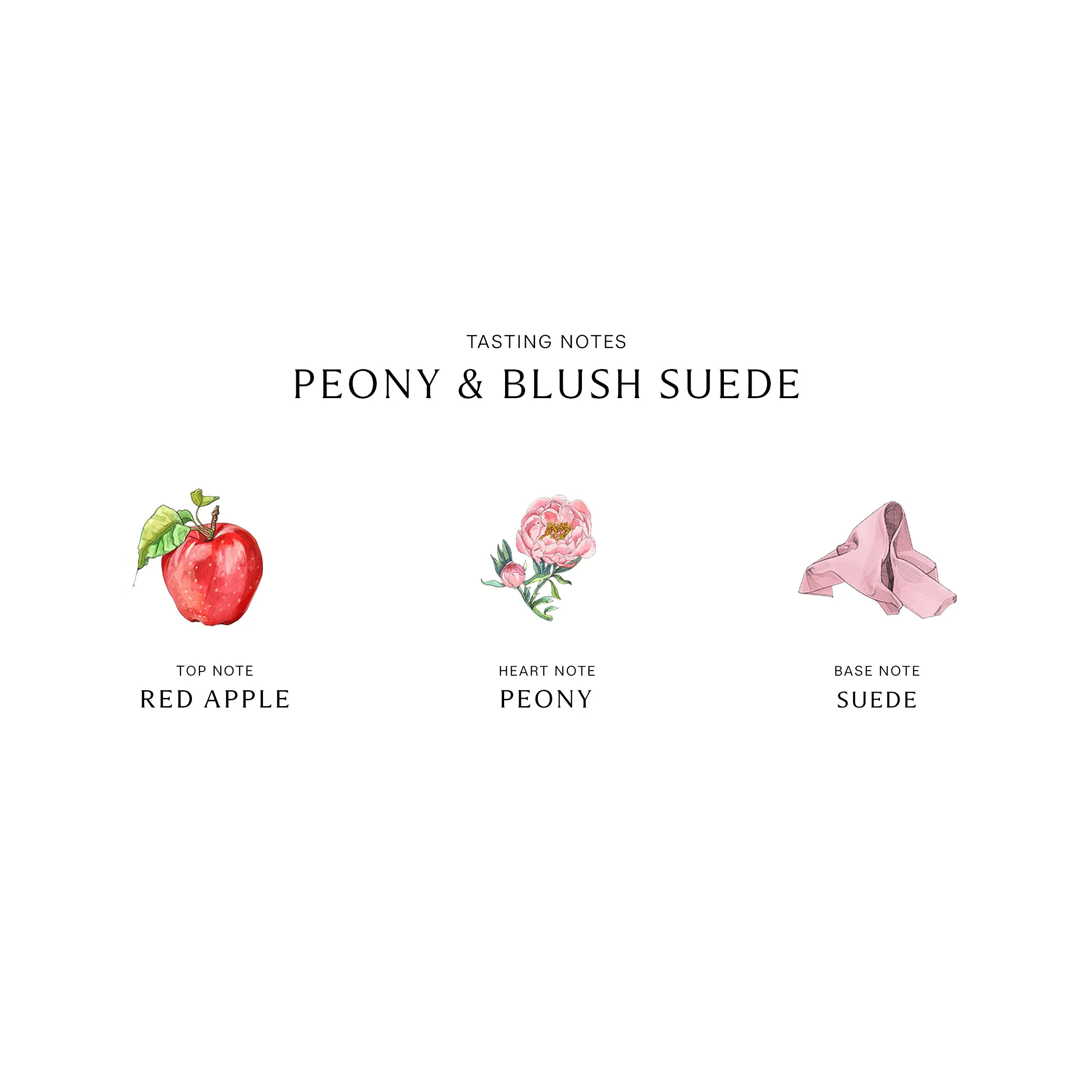 Peony & Blush Suede