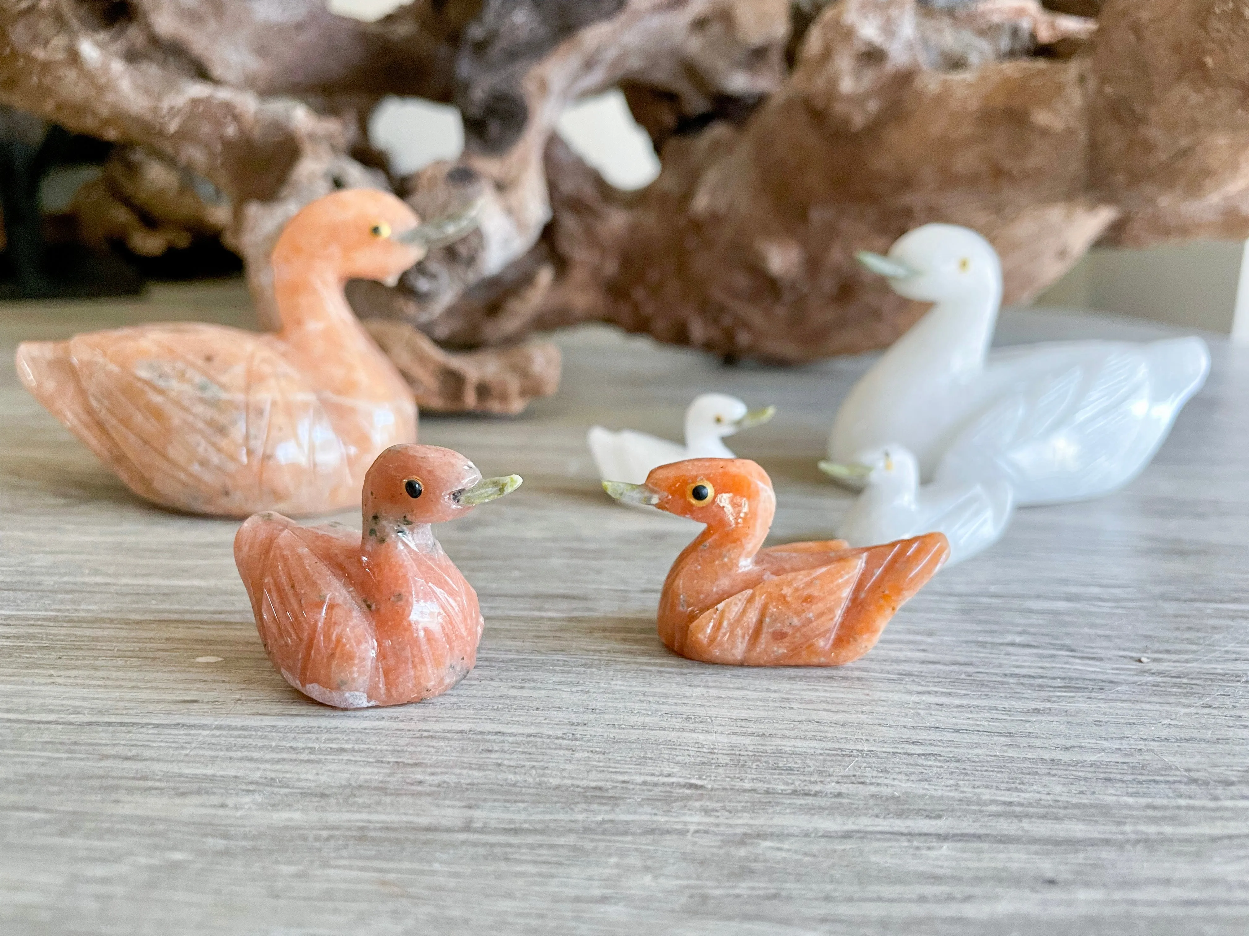 Swan Crystal Family