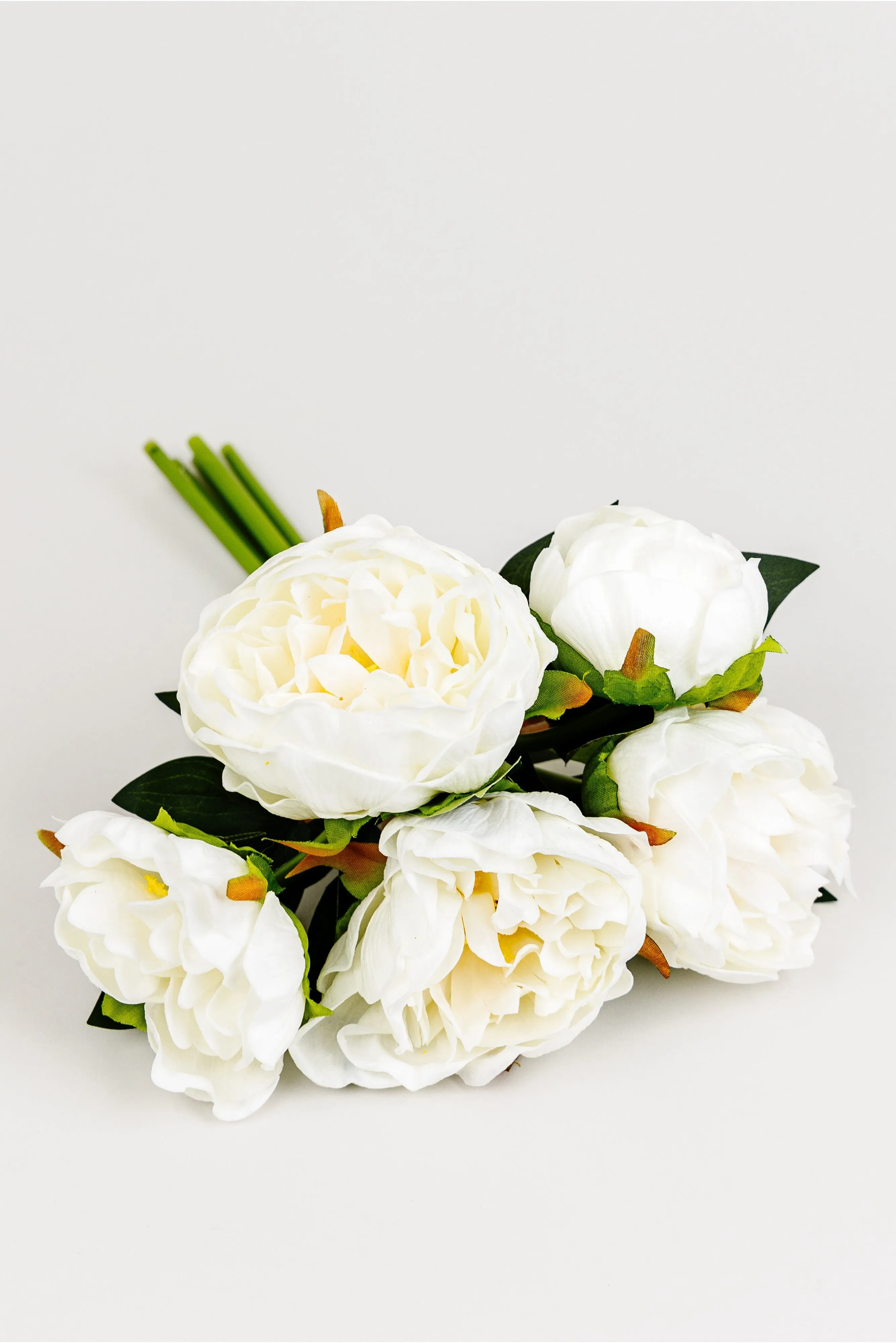 White Peony Bundle